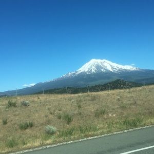 Meet your Posher, Marjorie